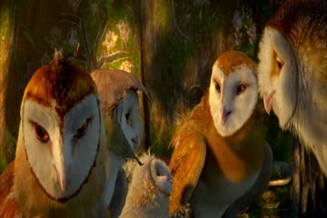 Legend of the Guardians The Owls of Ga hoole 2010 Dub in Hindi thumb