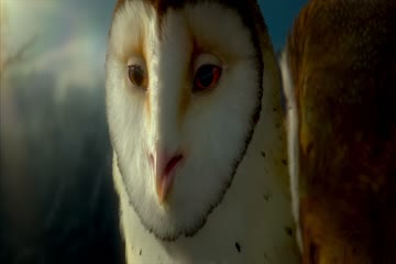 Legend of the Guardians The Owls of Ga hoole 2010 Dub in Hindi thumb